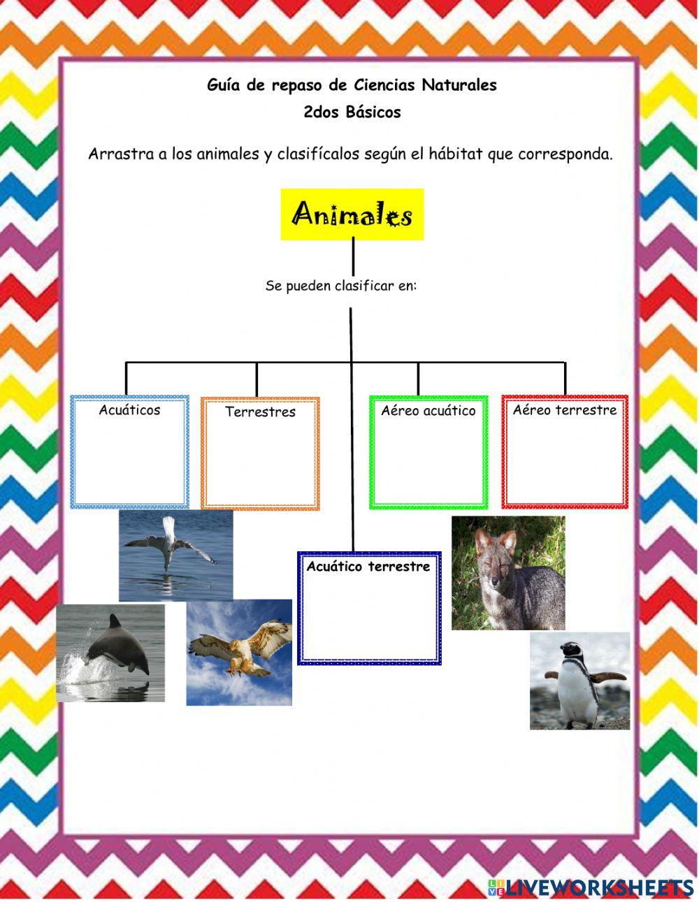 Algunas características de los animales