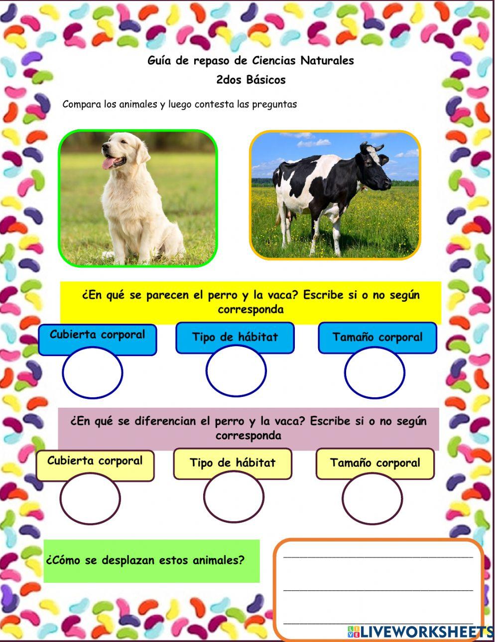 Algunas características de los animales