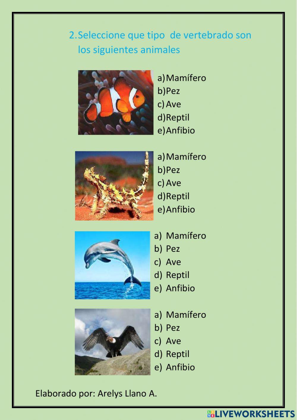 Los animales vertebrados