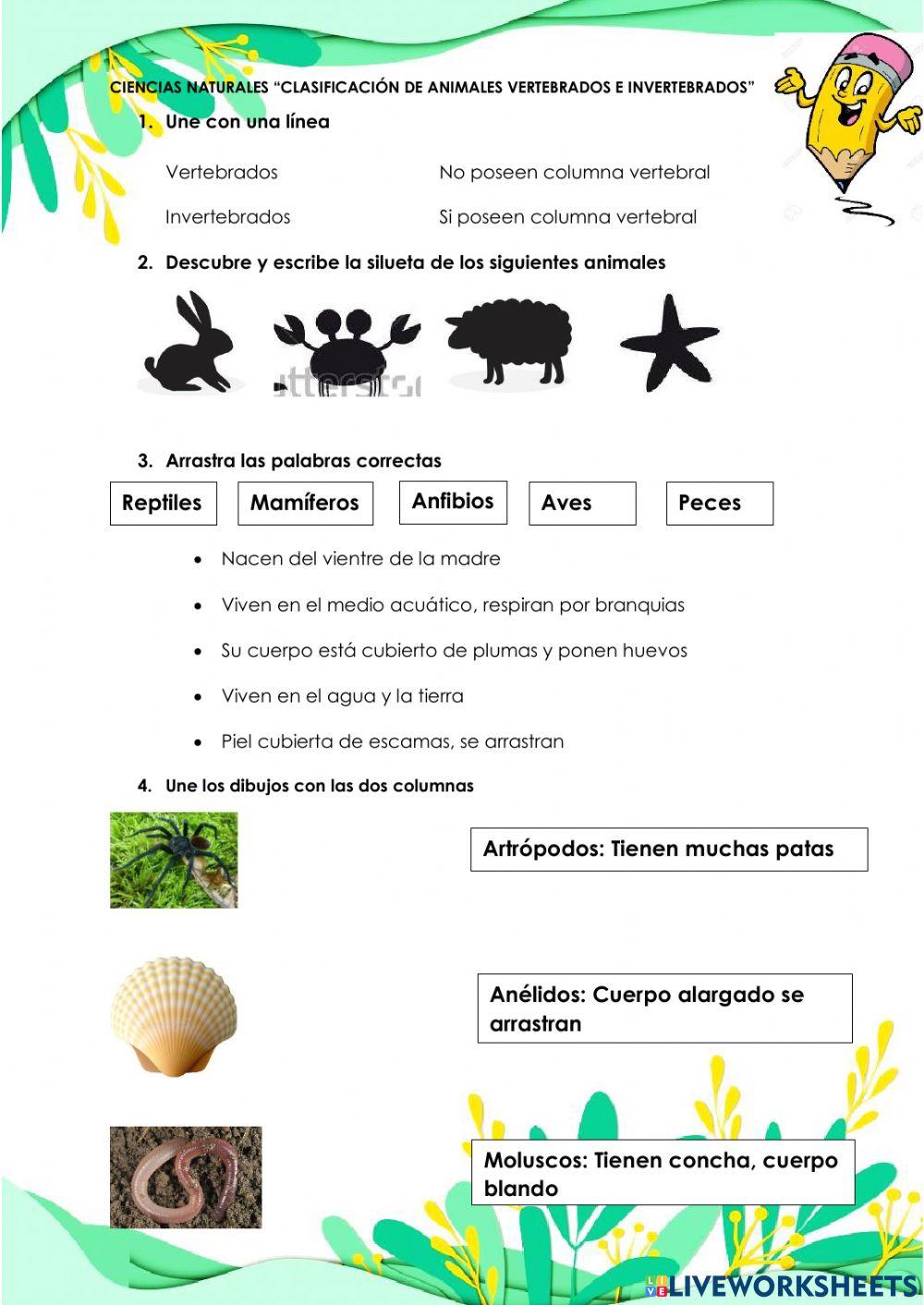 Clasificación de vertebrados e invertebrados