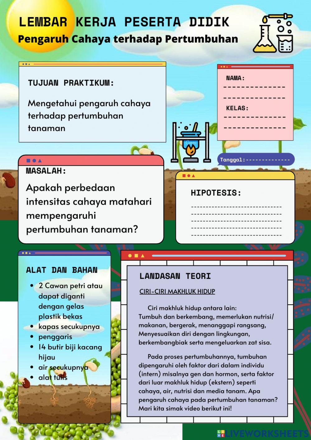 Lkpd-pertumbuhan tanaman