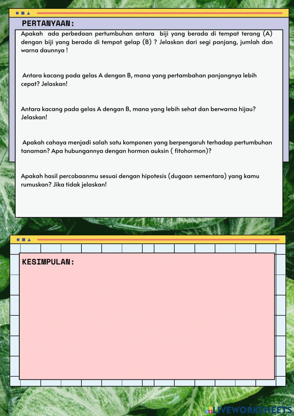 Lkpd-pertumbuhan tanaman