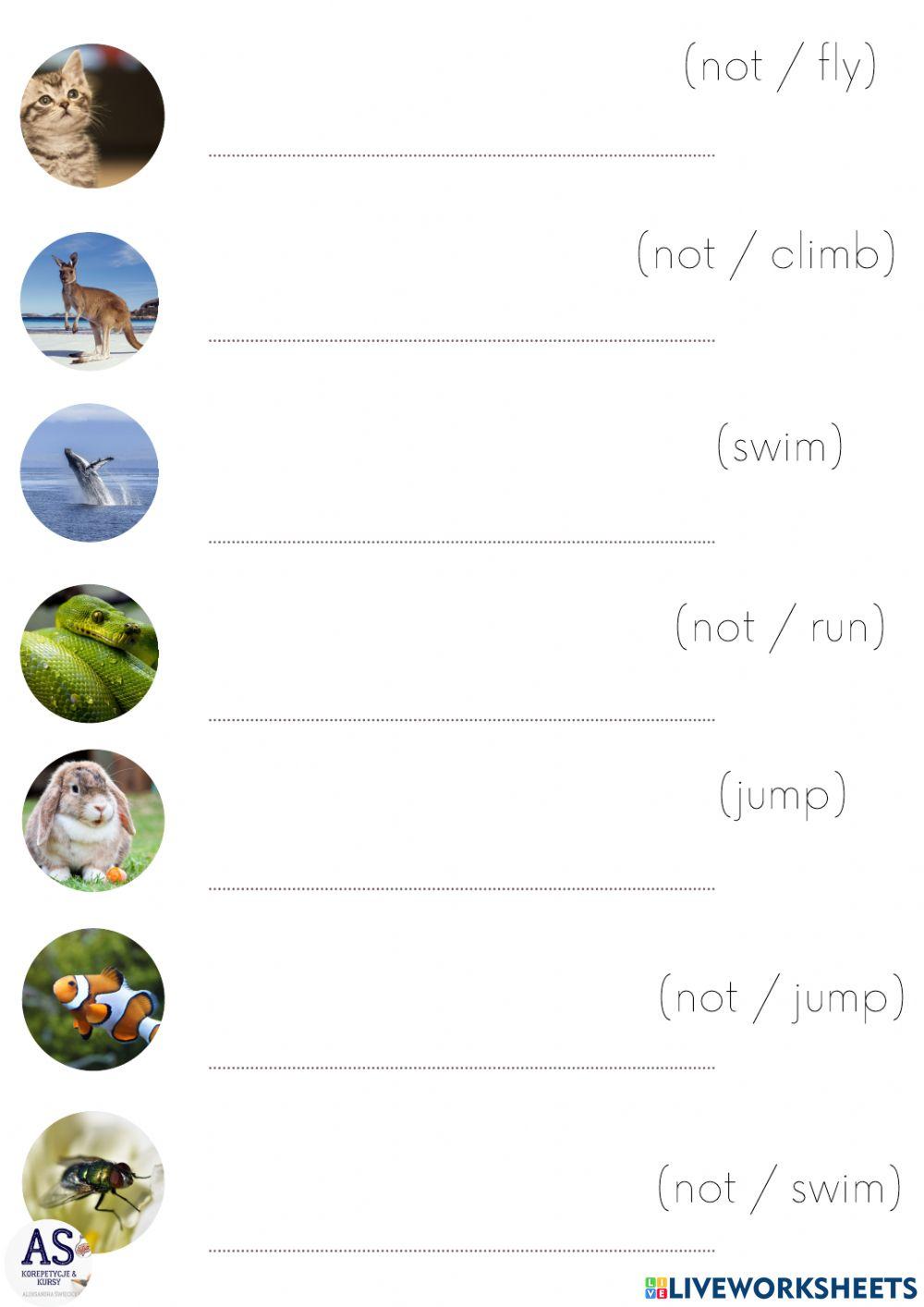 English Class A1 Unit 7