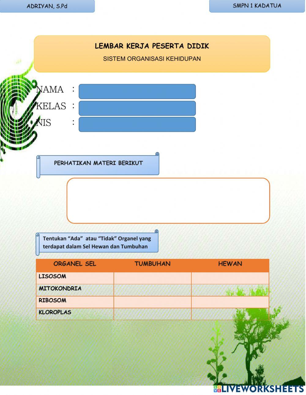 Sistem Organisasi Kehidupan
