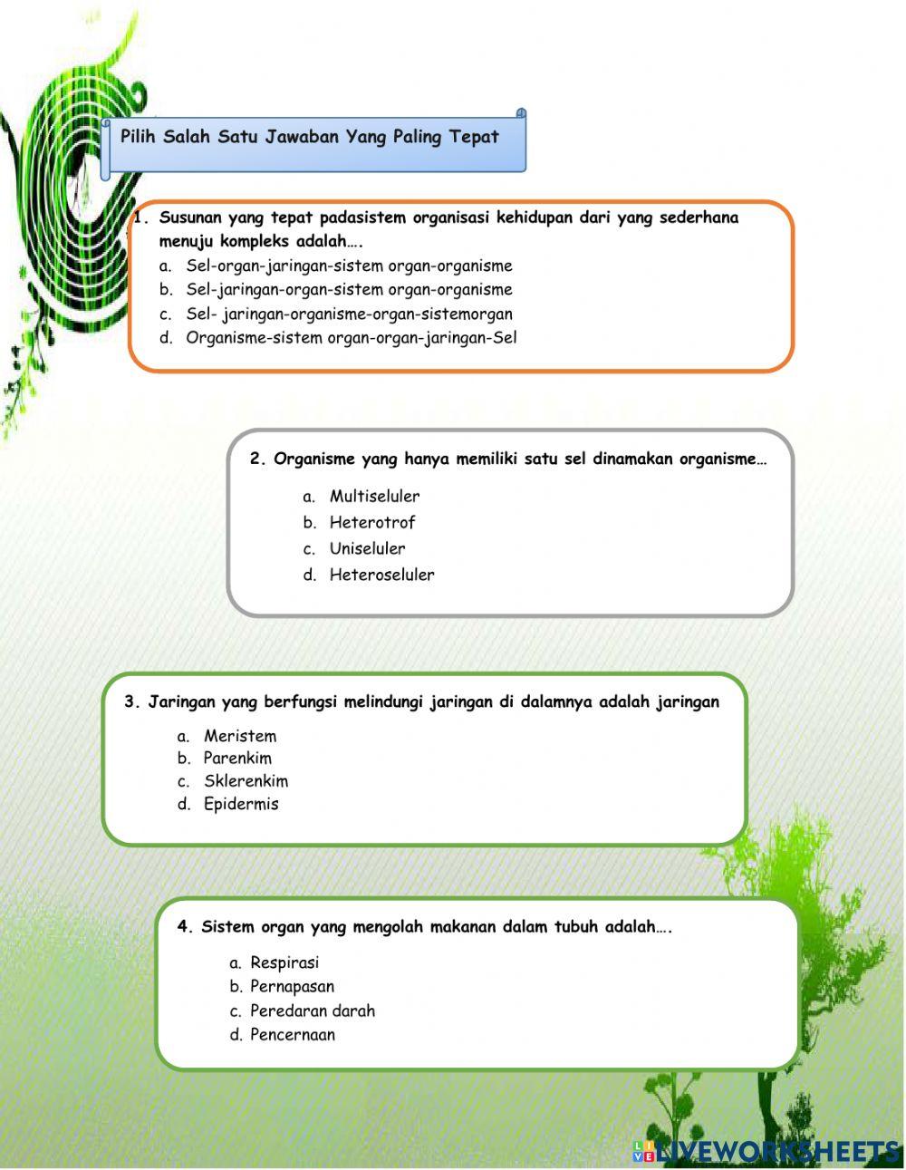 Sistem Organisasi Kehidupan
