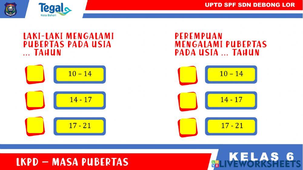 LKPD Pubertas Kelas 6
