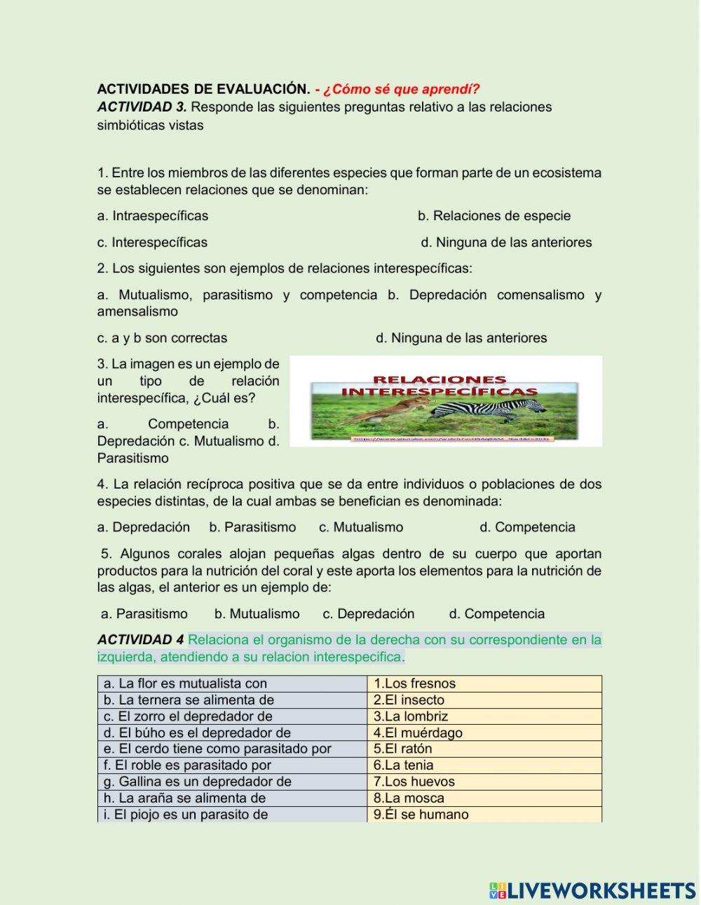 Estructura de un ecosistema