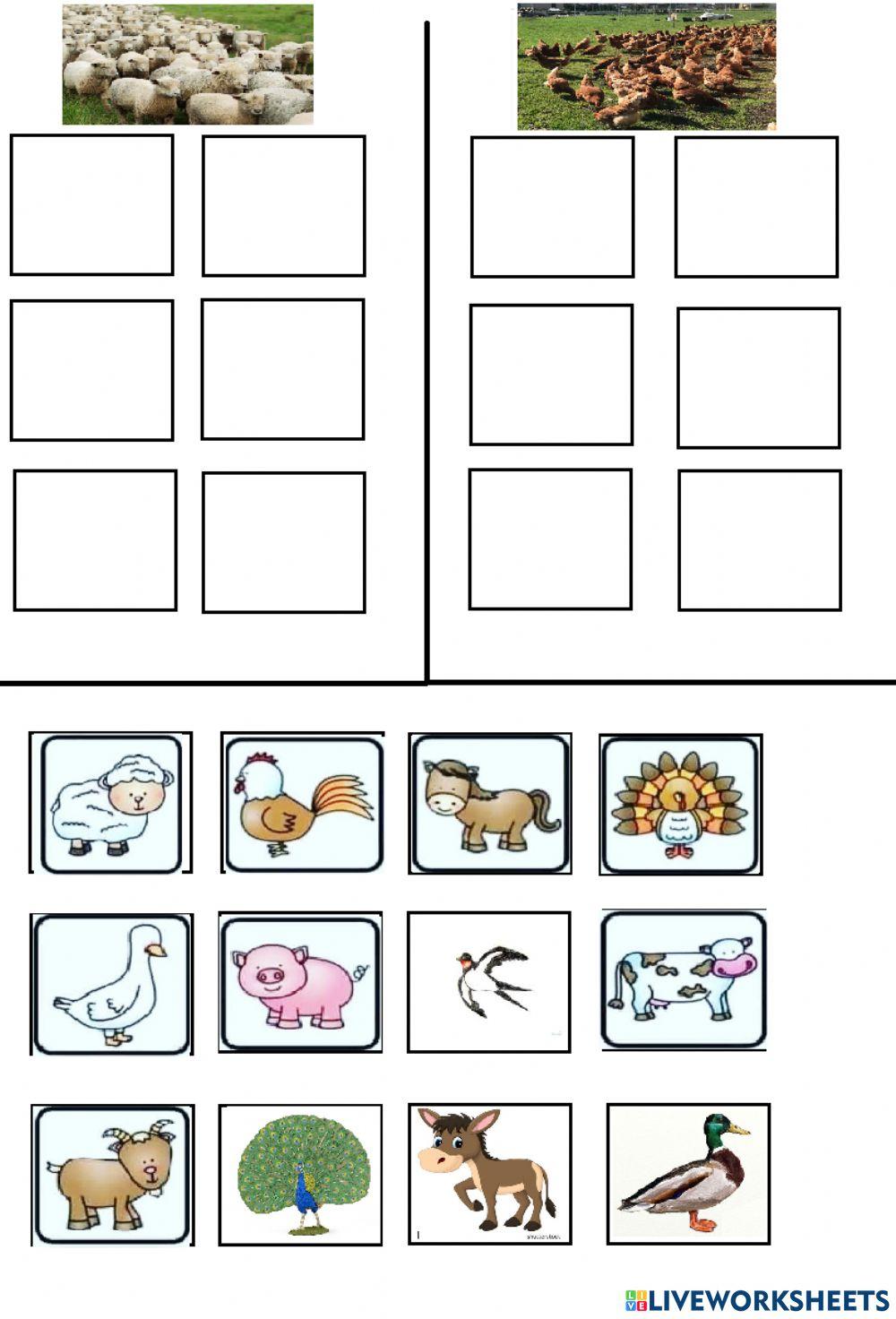 Семействата на животните