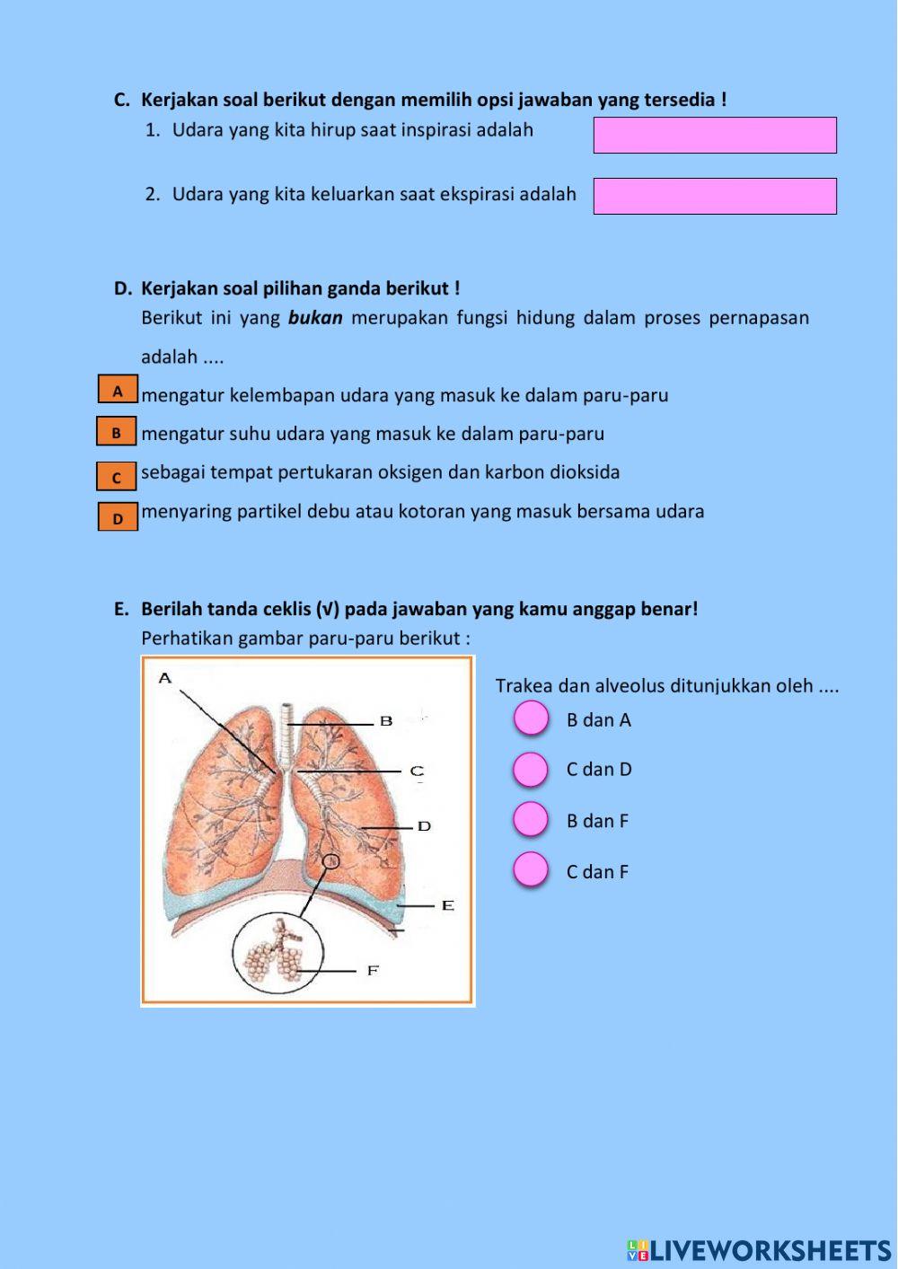 E-LKPD sistem pernapasan