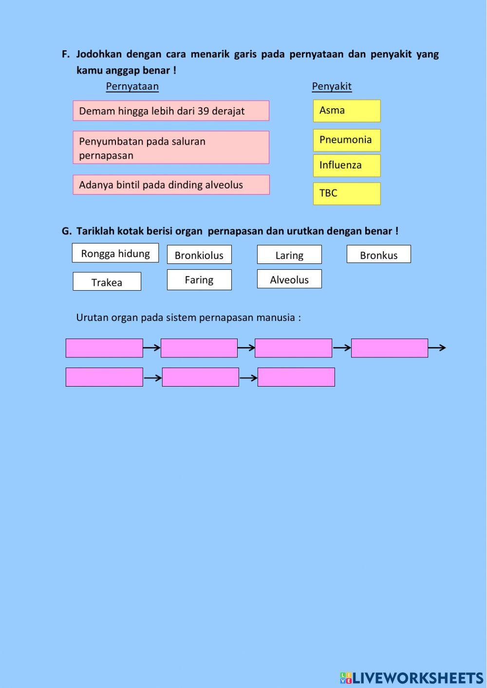 E-LKPD sistem pernapasan