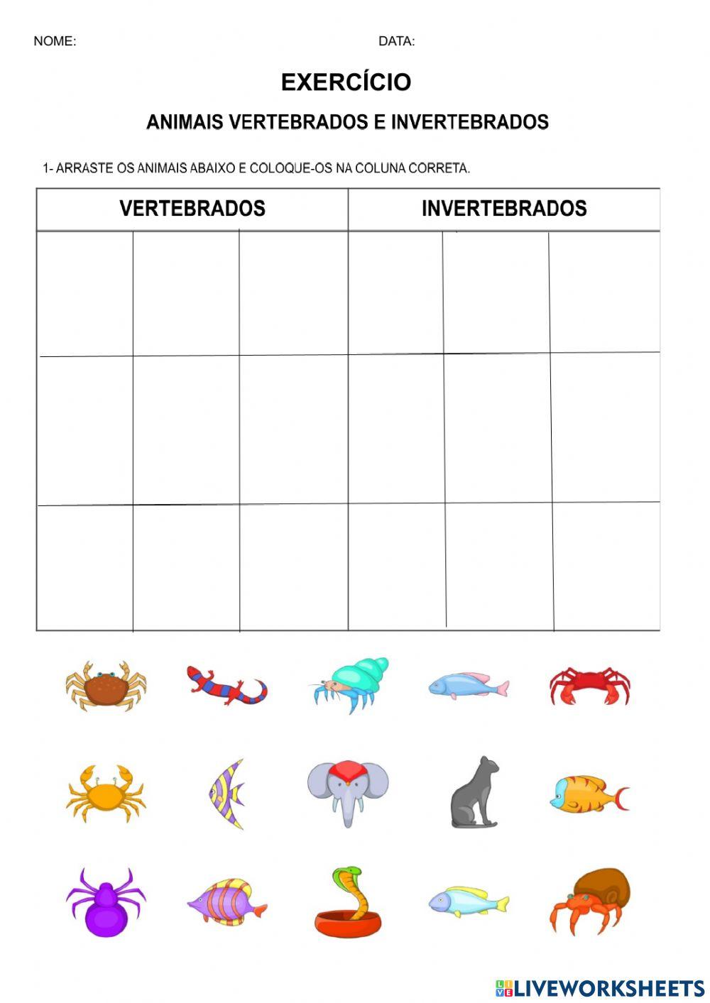 Animais vertebrados e invertebrados