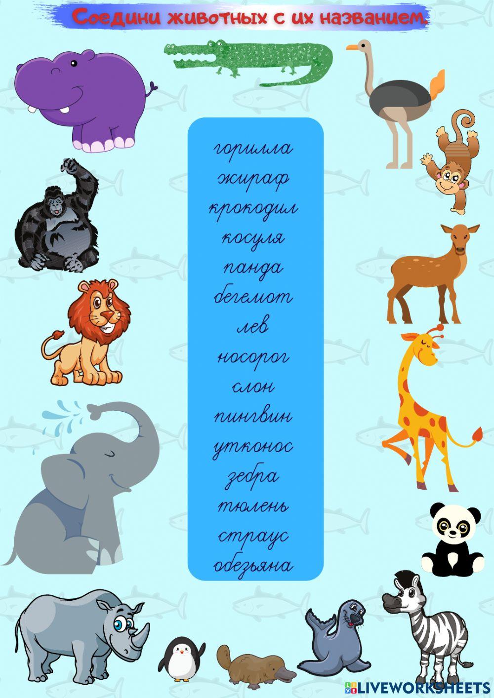 Я покупаю Кого?