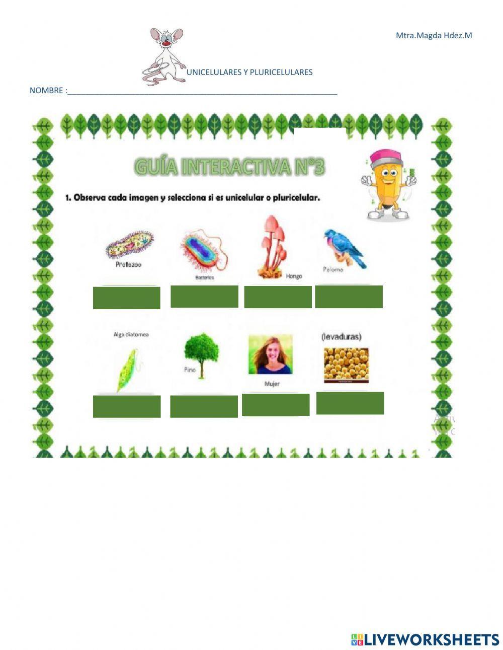 Unicelulares y pluricelulares