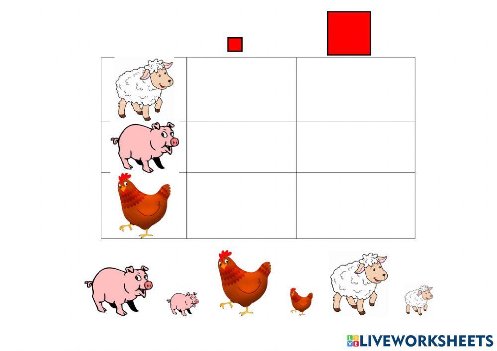 Grande-Pequeño cuadro doble entrada