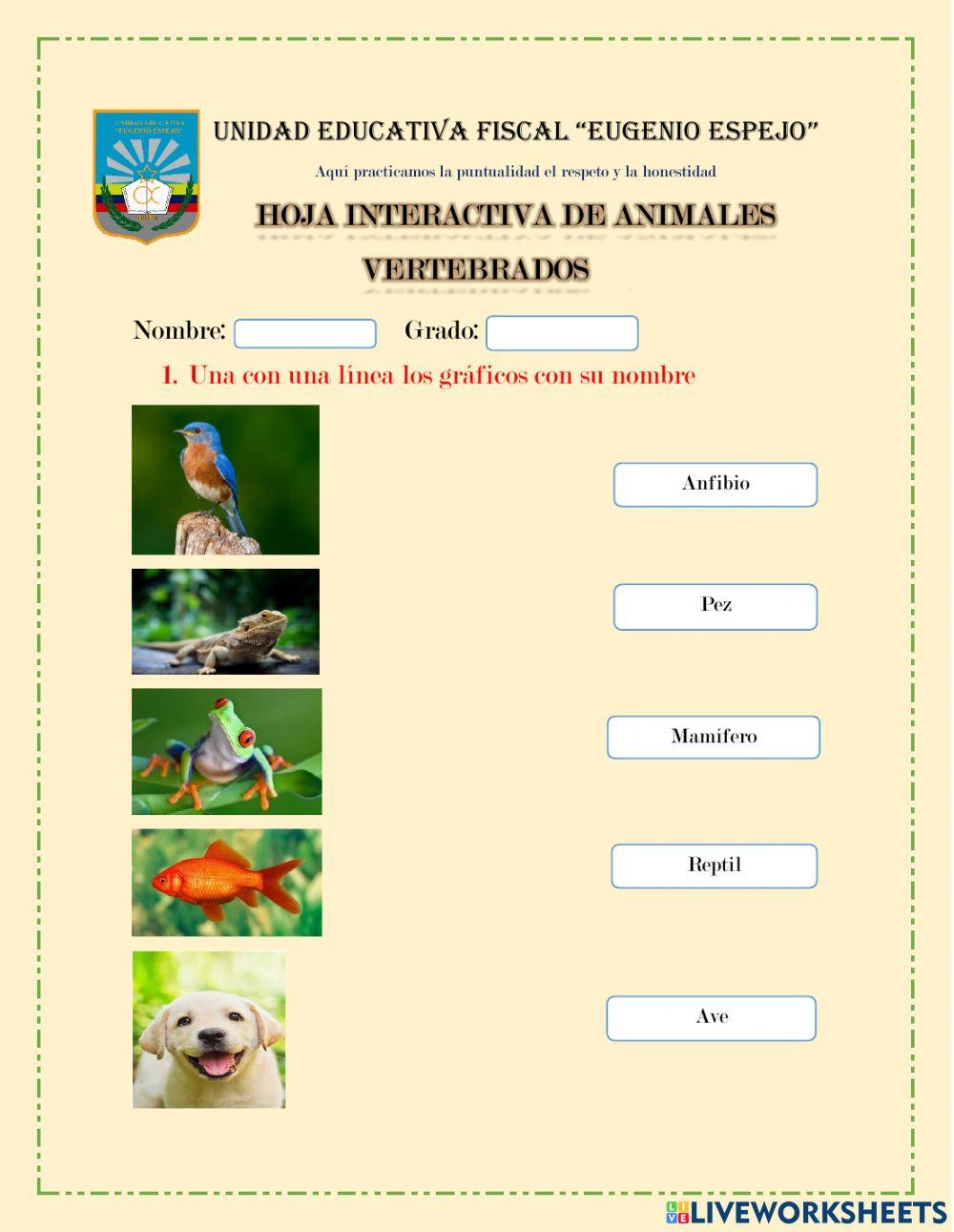 Animales Vertebrados