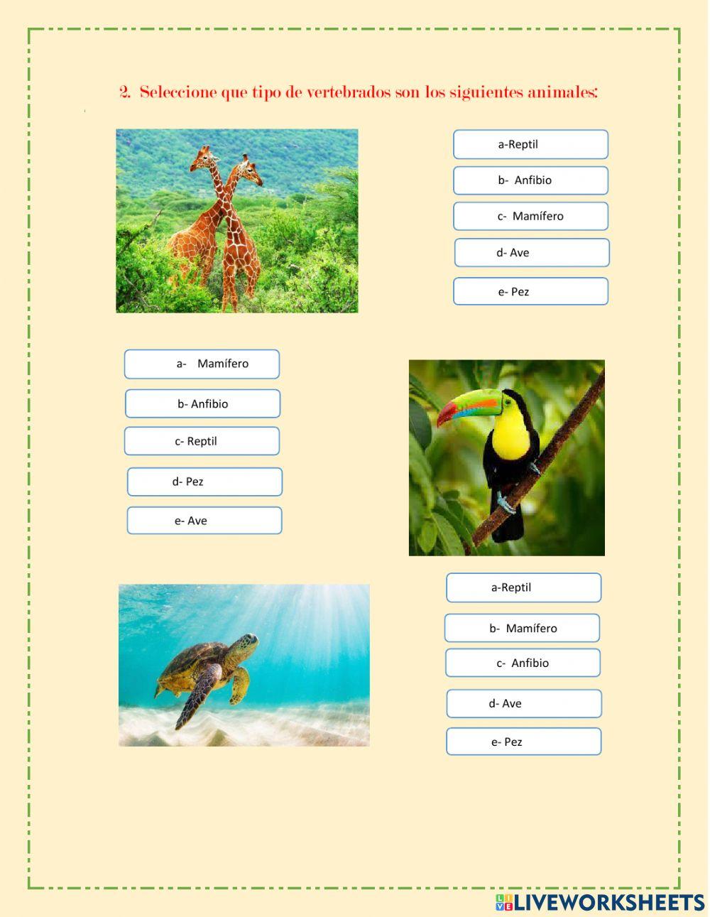 Animales Vertebrados