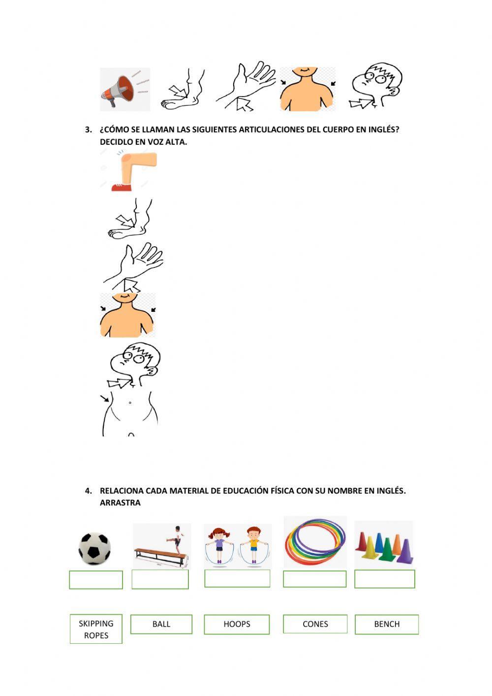 Vocabulario en inglés en Educación Física