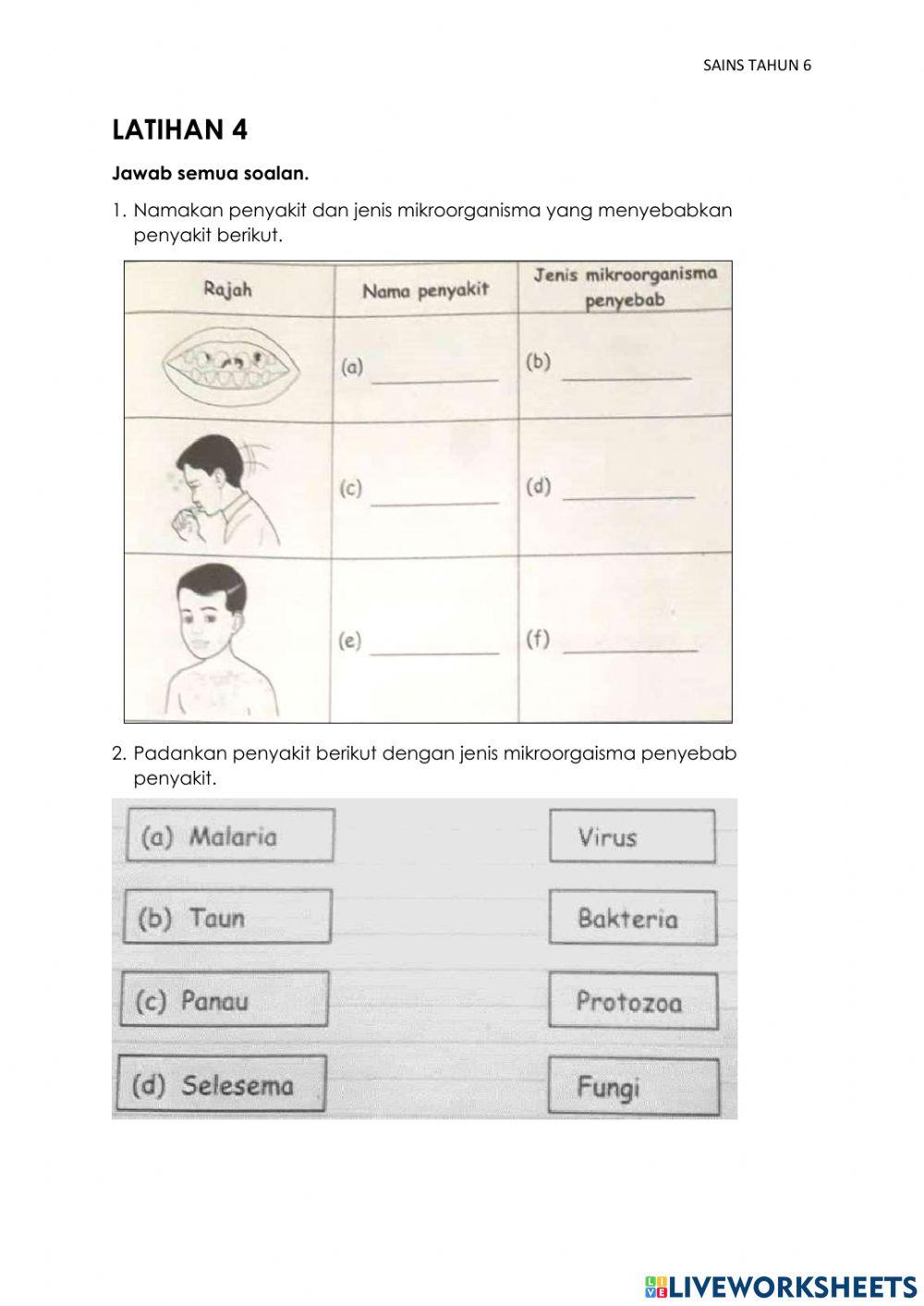 Sains Tahun 6 : Mikroorganisma