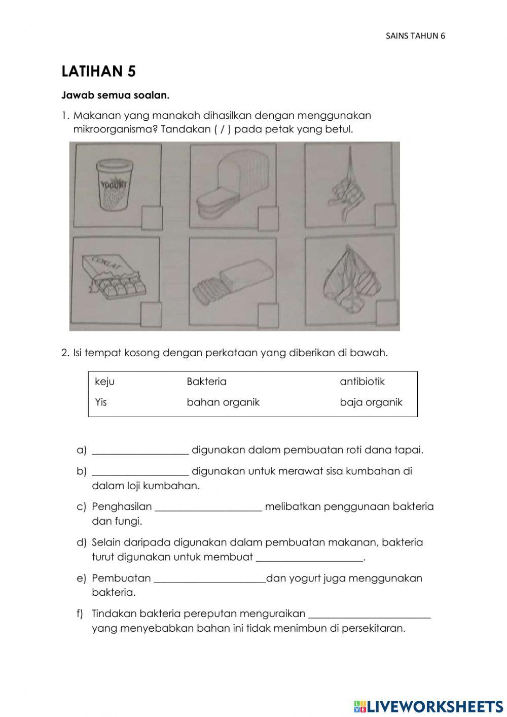 Sains Tahun 6 : Mikroorganisma