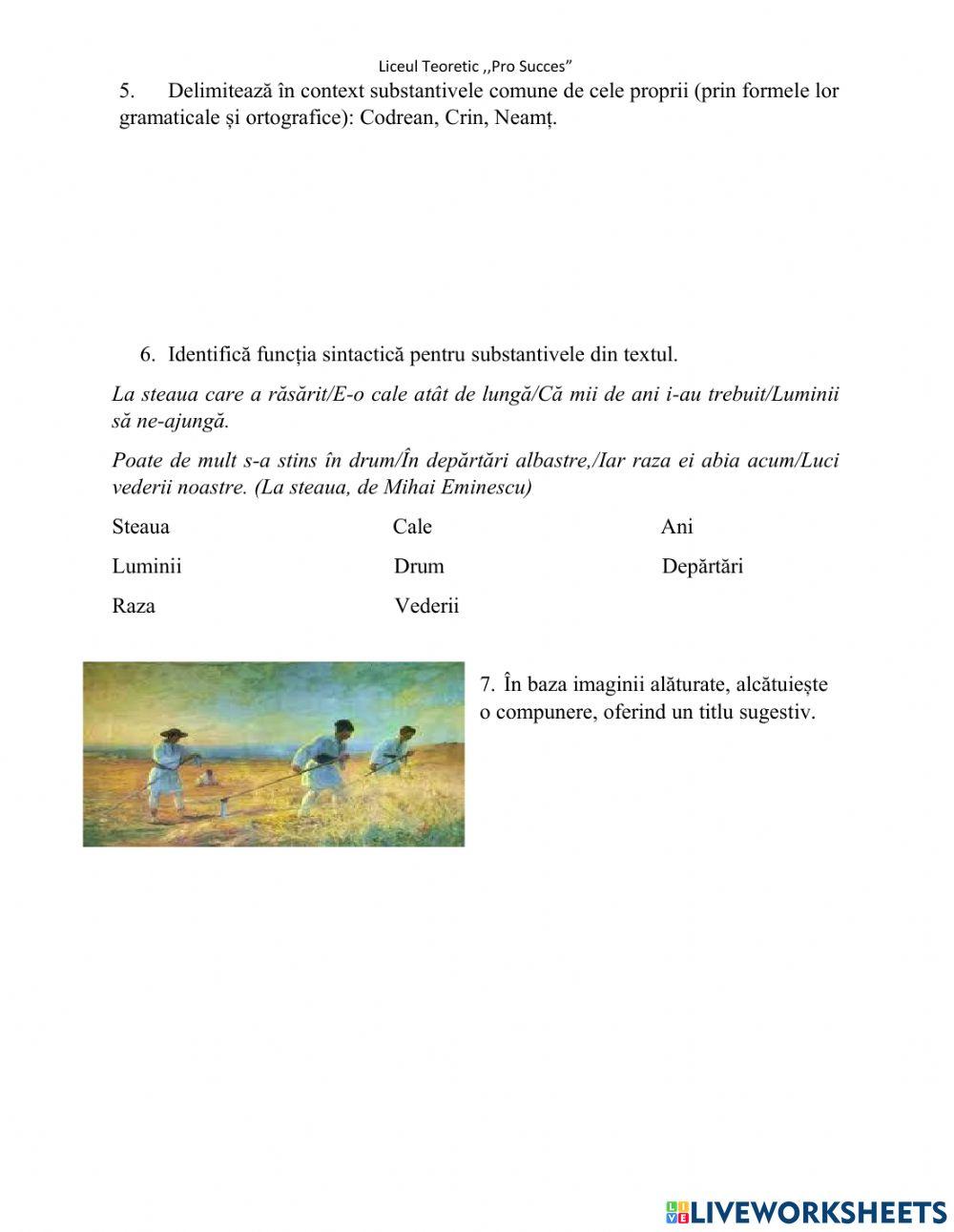 Substantivul. Funcțiile sintactice