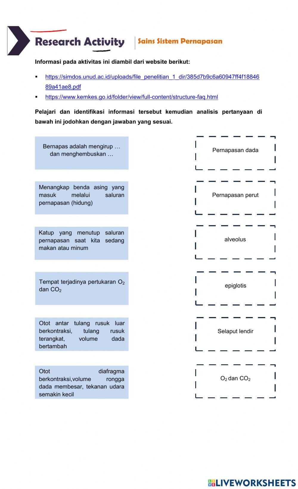 Research activity