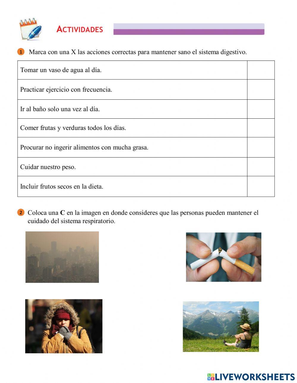 Cuidados de los sistemas