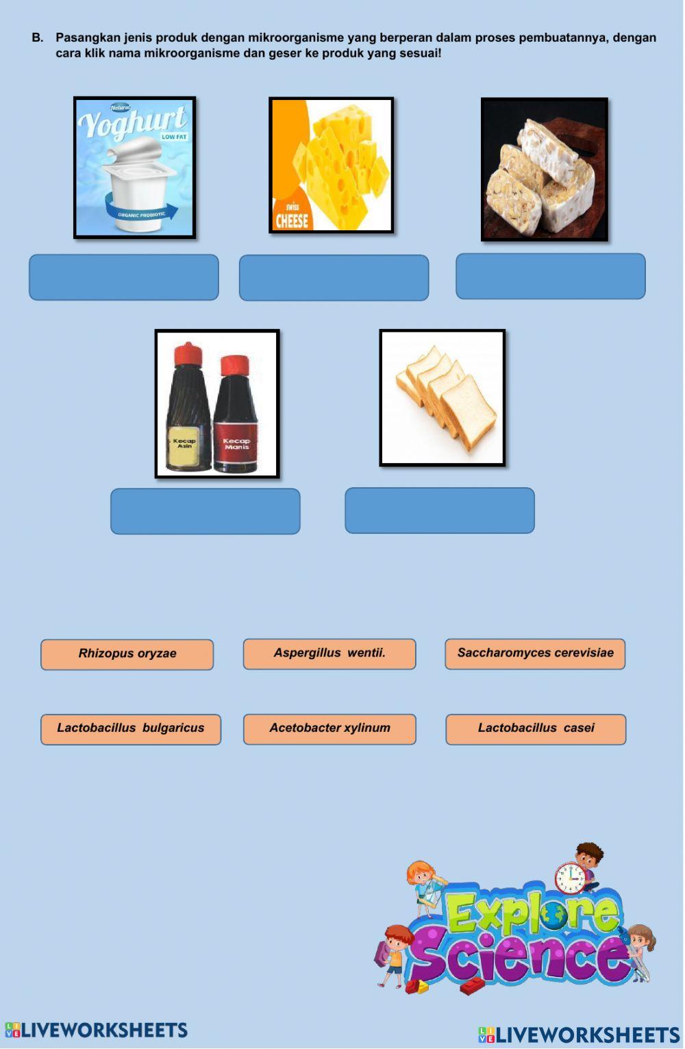 Pembelajaran Bioteknologi