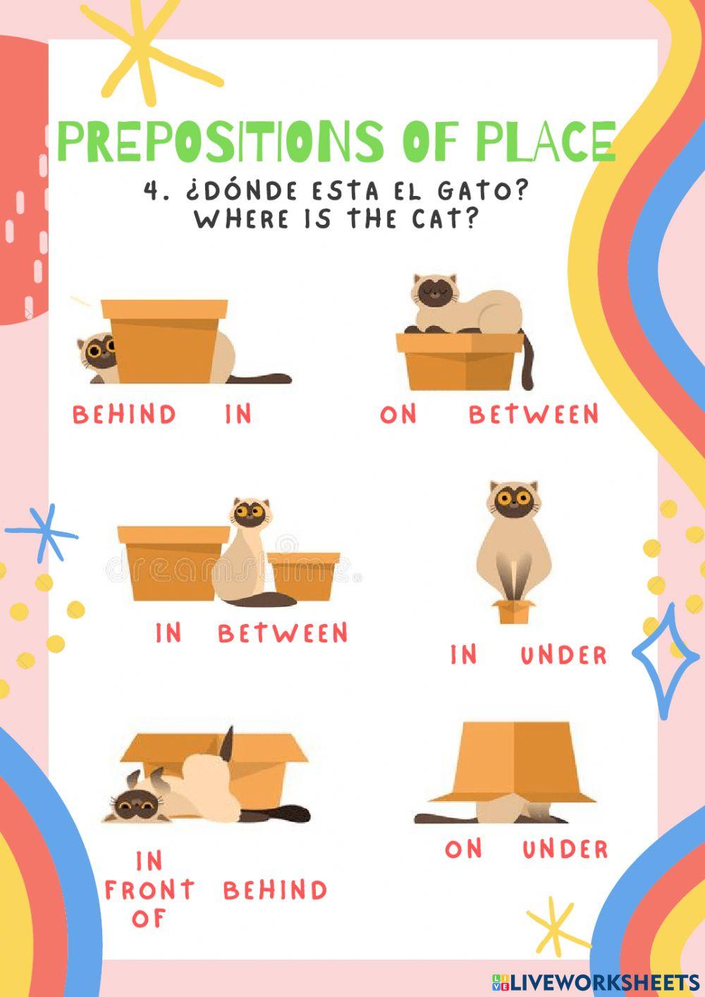 Conceptos básicos de inglés