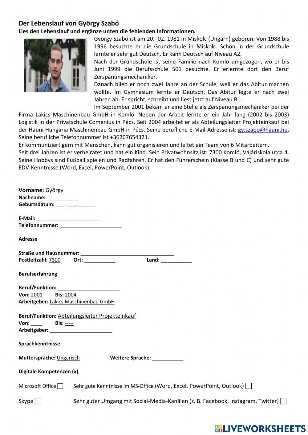 Lebenslauf verstehen