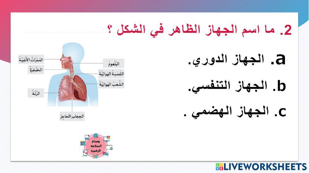 تدريب رقم 1 اصحاب الهمم الوحدة السابعة