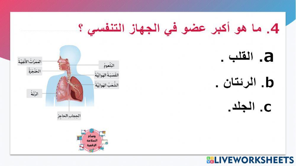 تدريب رقم 1 اصحاب الهمم الوحدة السابعة