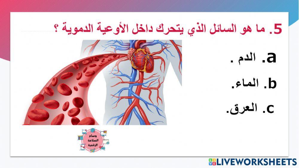 تدريب رقم 1 اصحاب الهمم الوحدة السابعة