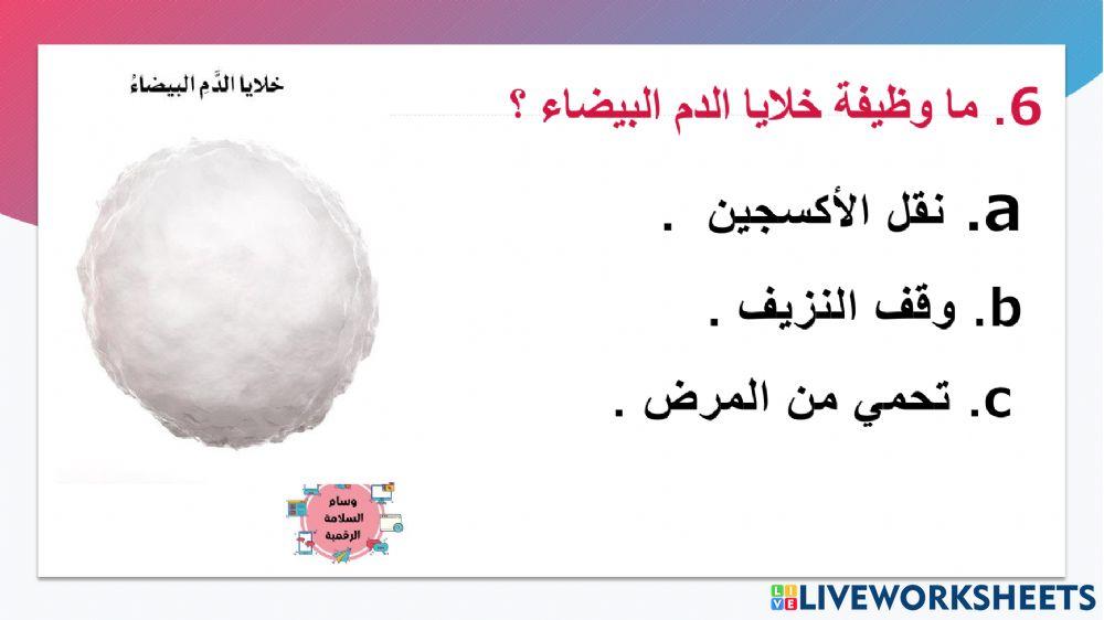 تدريب رقم 1 اصحاب الهمم الوحدة السابعة