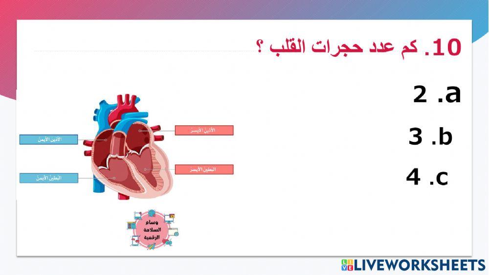 مراجعة الجزء الثاني  الوحدة السابعة  اصحاب الهمم