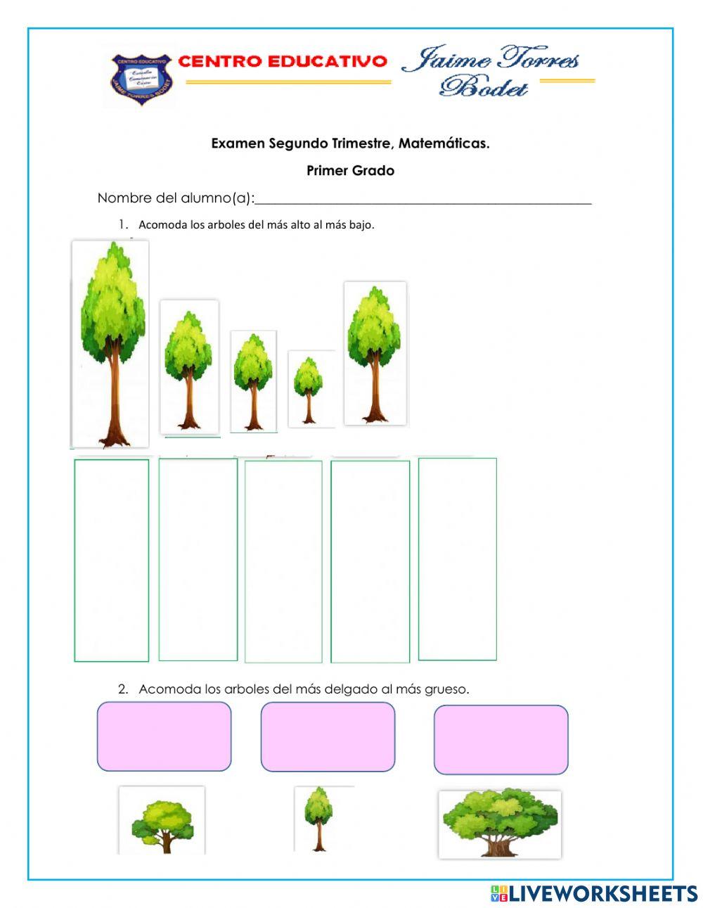 Examen Matemáticas, Primer Grado