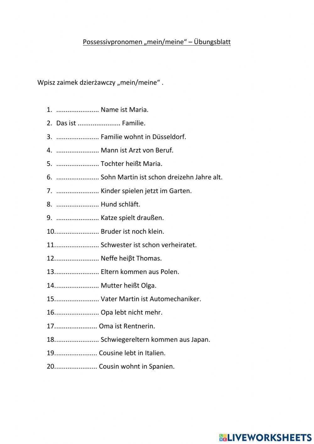 Meine Familie- zaimek dzierżawczy mein