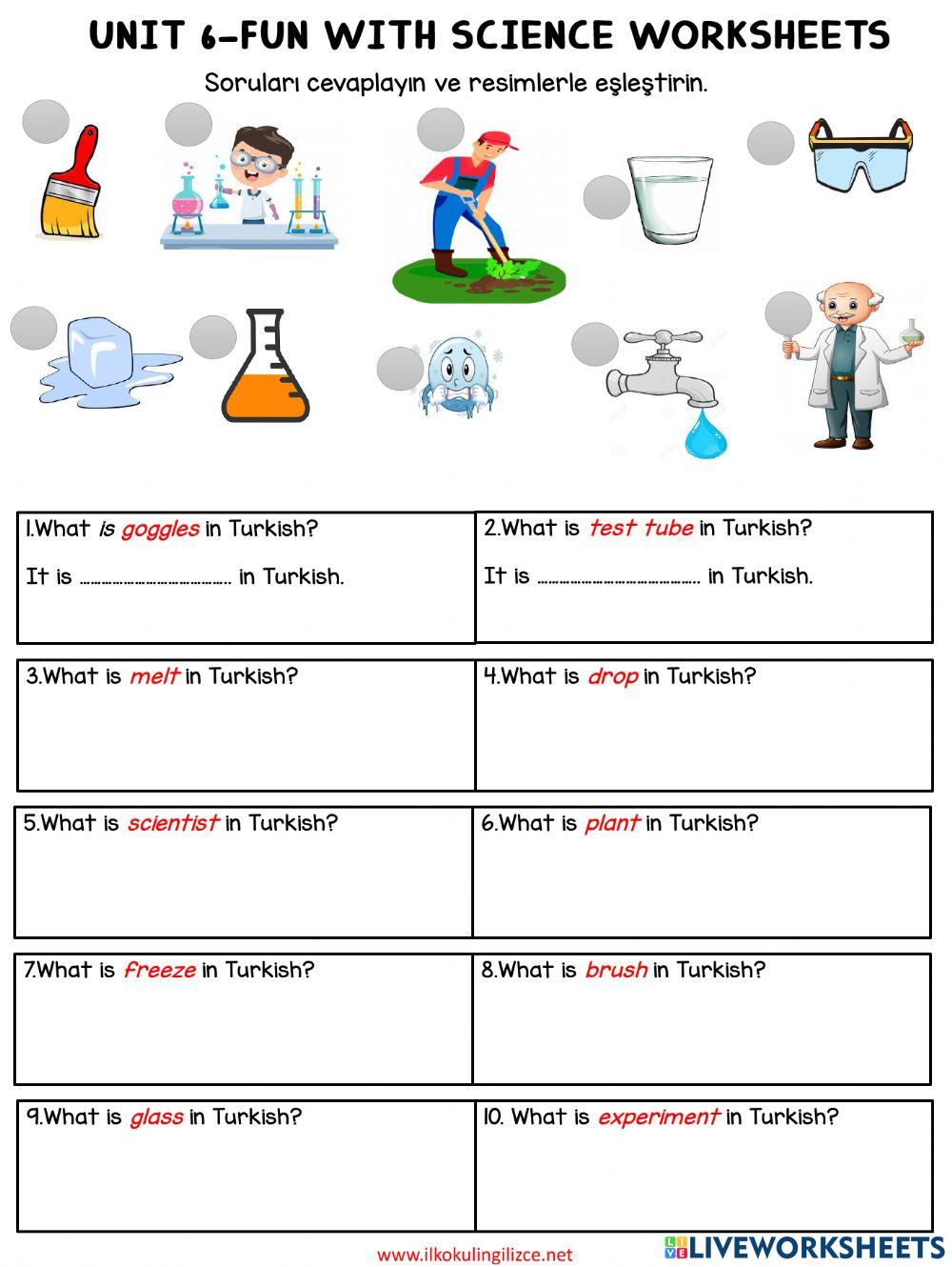4.6 Fun with Science Worksheets