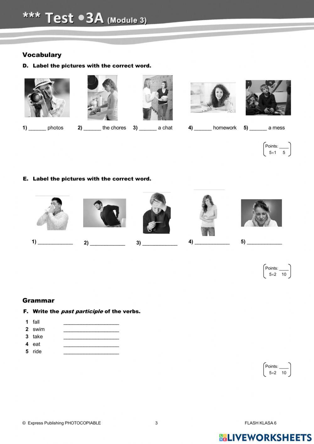 Flash 6 Module 3 Test