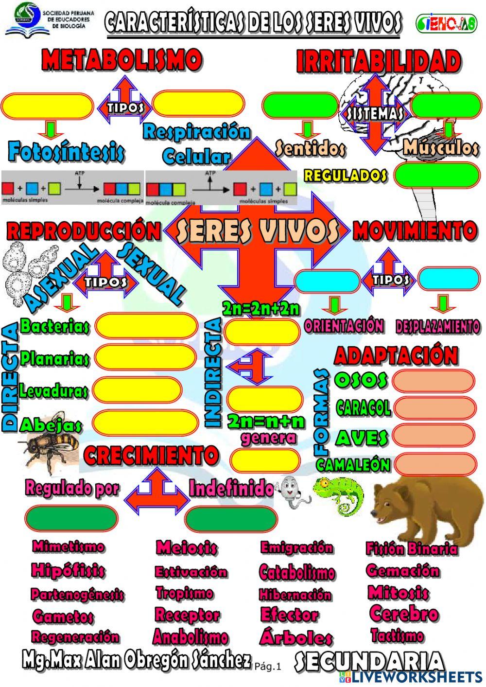 Spb-SERES VIVOS - CARACTERÍSTICAS