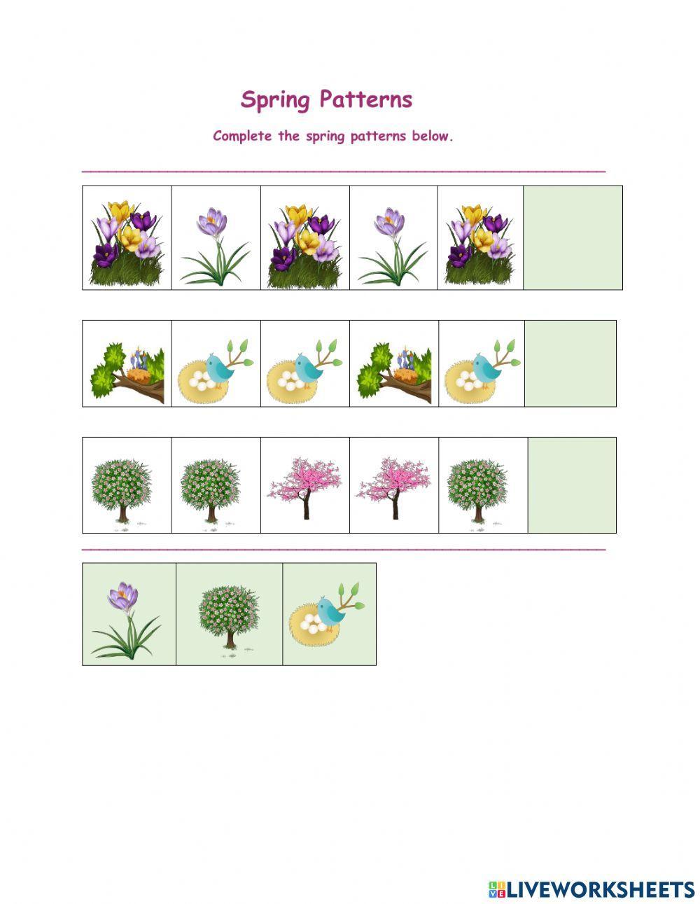 Spring Patterns worksheet Live Worksheets