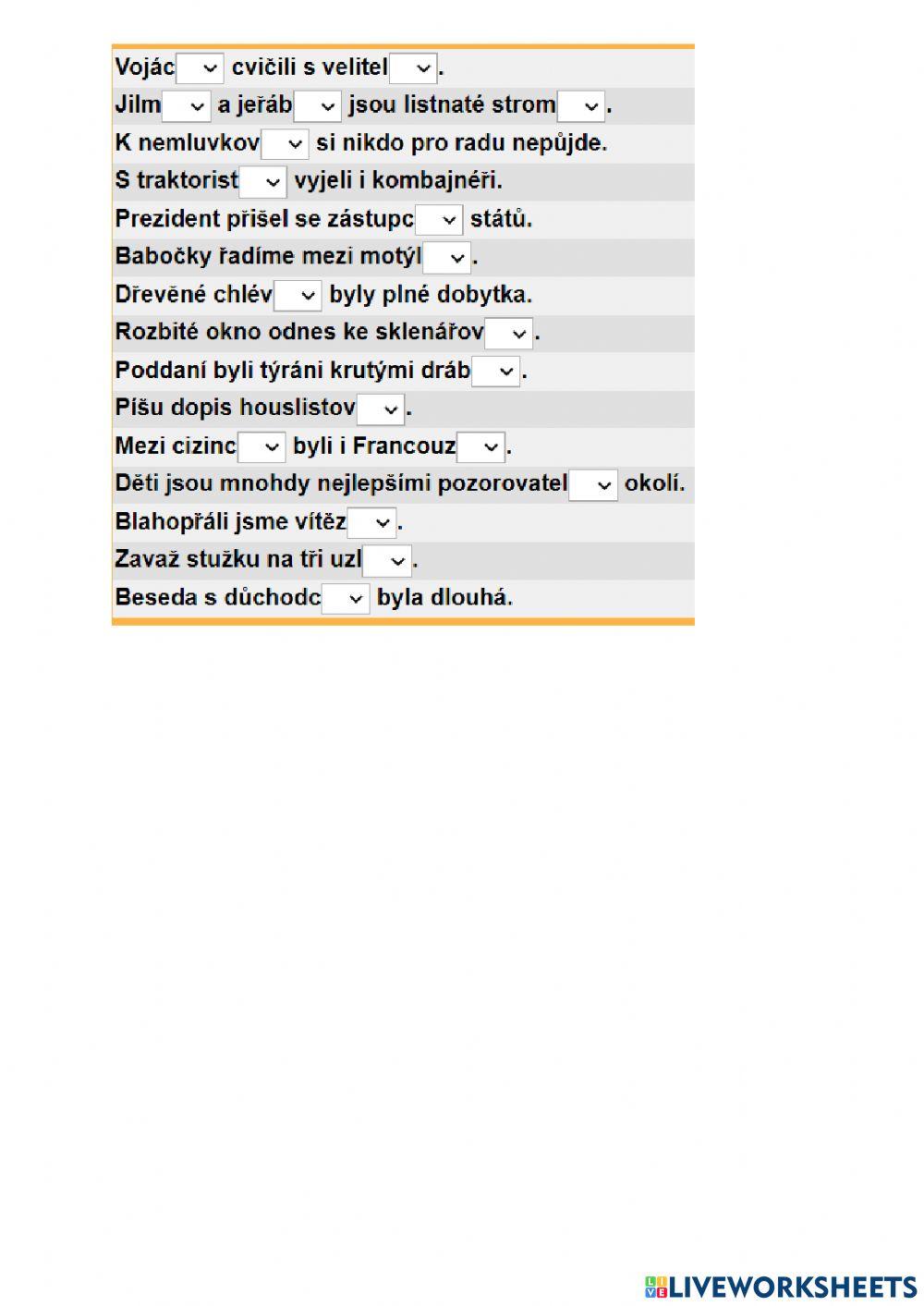 Koncovky podstatných jmen - procvičování