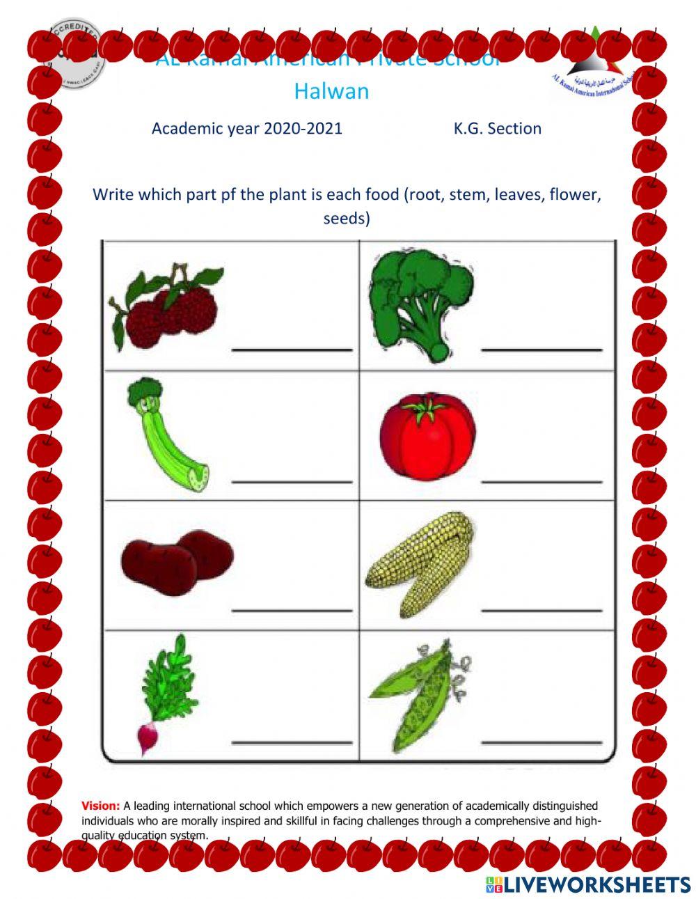Parts of plants we eat activity Live Worksheets