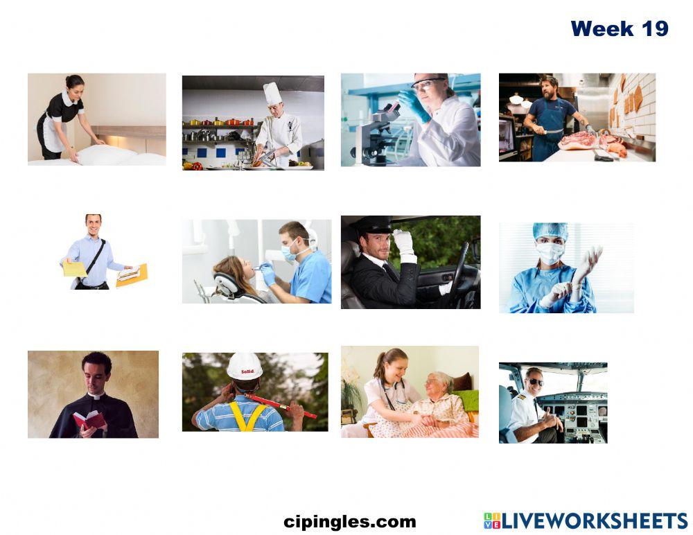 Verbs and Jobs Week 19