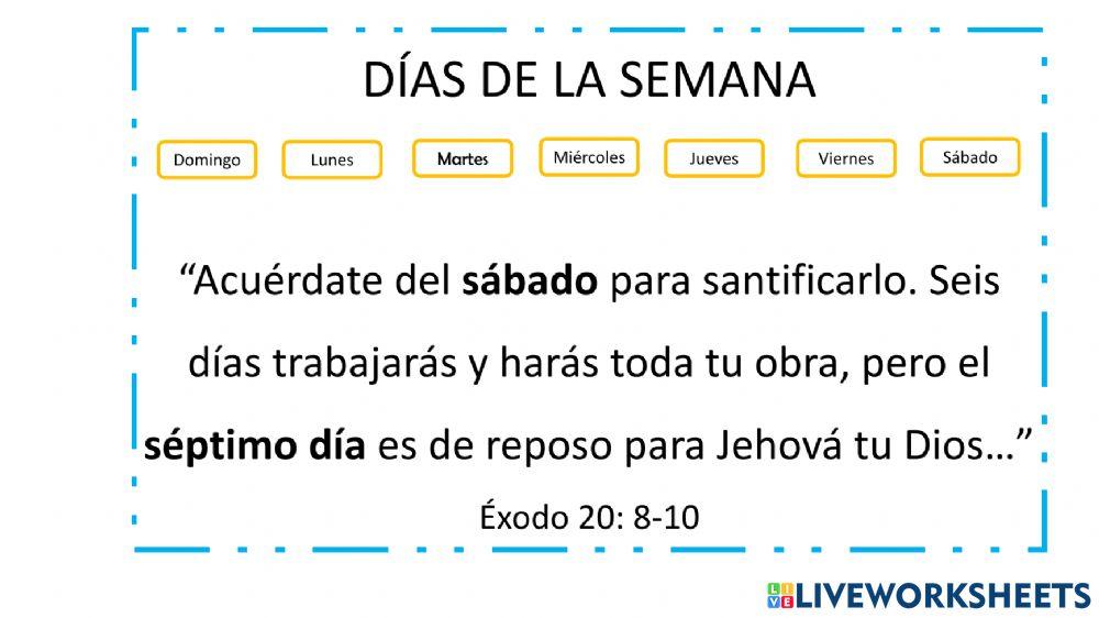 Días de la semana worksheet for Primaria Live Worksheets