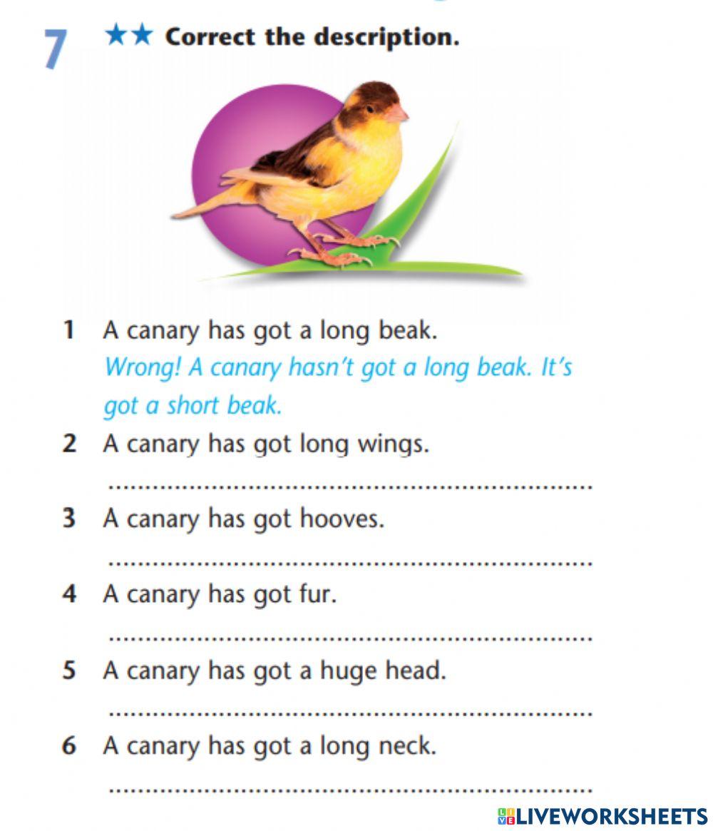 The parts of body. Animals