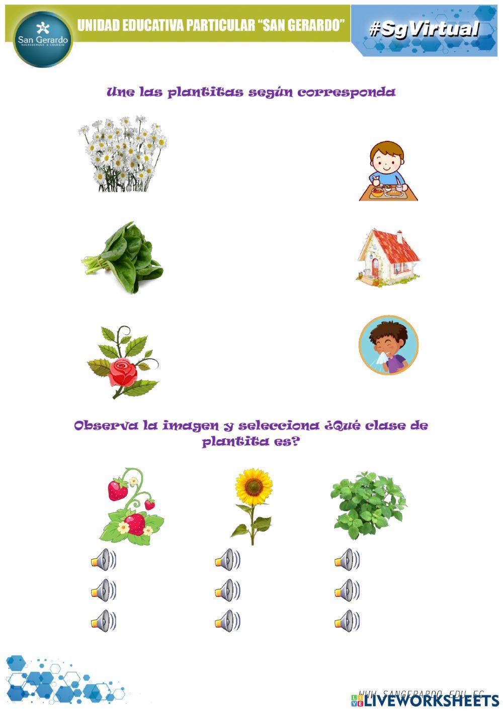 Jugando con las plantitas