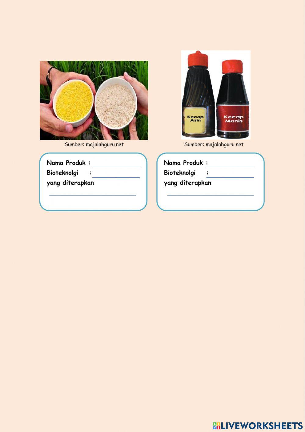 LKPD Bioteknologi dan Pemanfaatannya