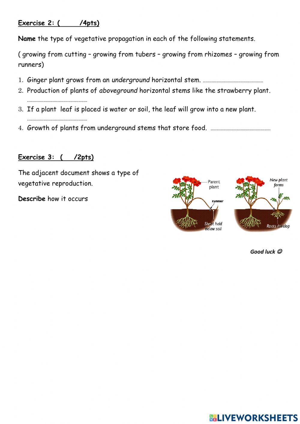 Science Grade 6 reproduction in plants