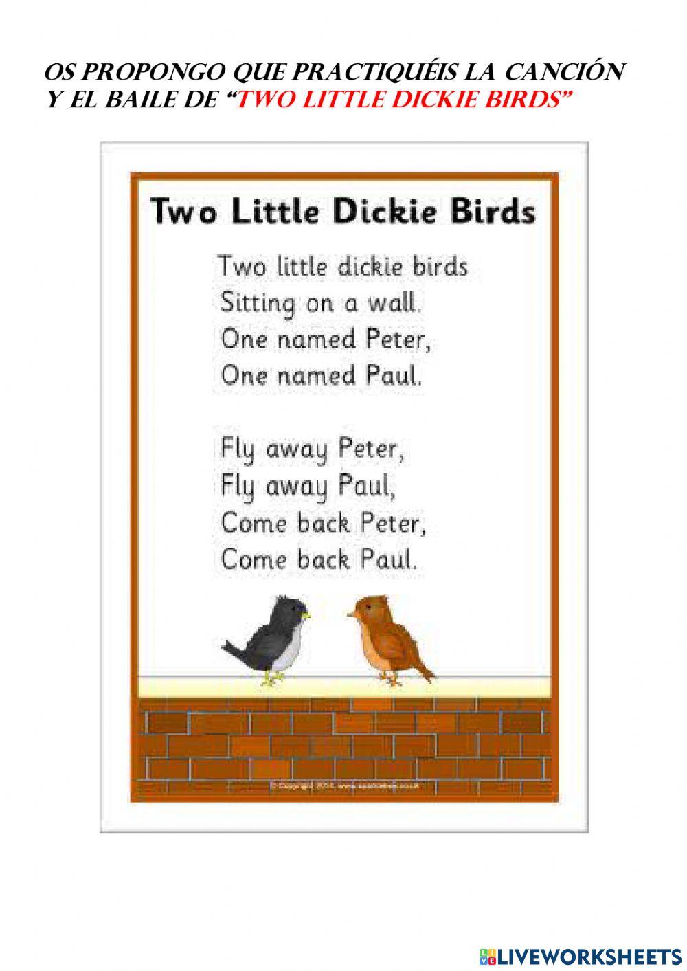 Two little dickie birds