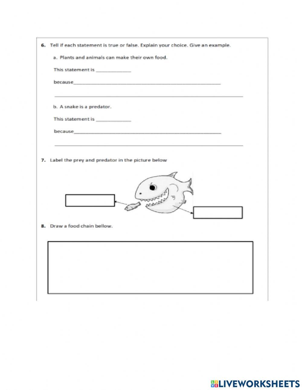 Food chain online exercise for Biology Diagrams